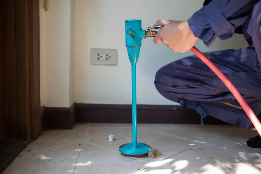 Common Entry Points For Termites In Residential Homes Olive Branch, MS Common Entry Points For Termites In Residential Homes Olive Branch, MS