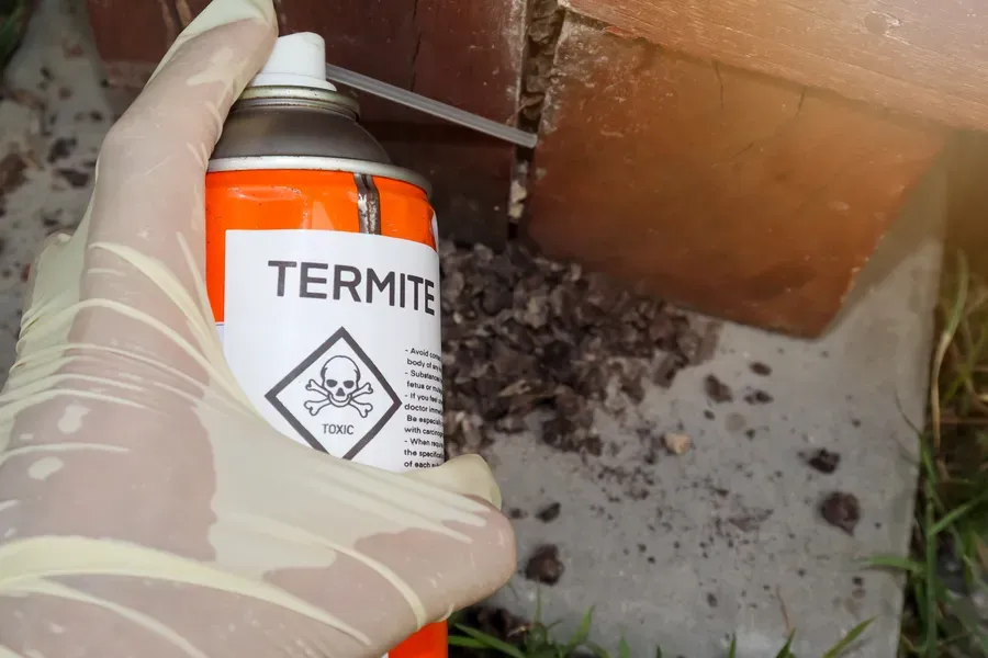 Role Of Moisture In Attracting Termites To Your Home Olive Branch, MS Role Of Moisture In Attracting Termites To Your Home Olive Branch, MS